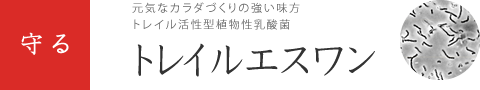 トレイルエスワン
