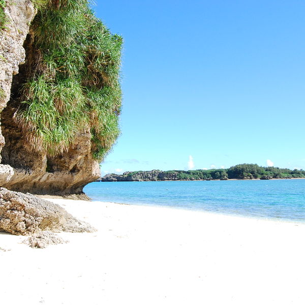 母なる大地で自然が育むフルボ酸の驚異的な美容効果、健康効果をご紹介