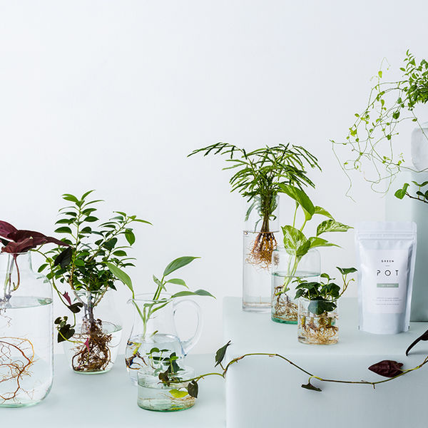 腸内環境を整えると、美肌になる方法