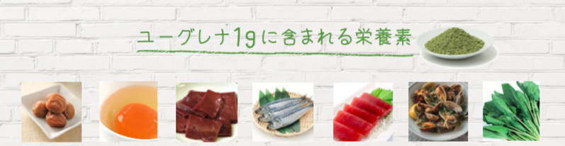 ユーグレナ主要栄養士