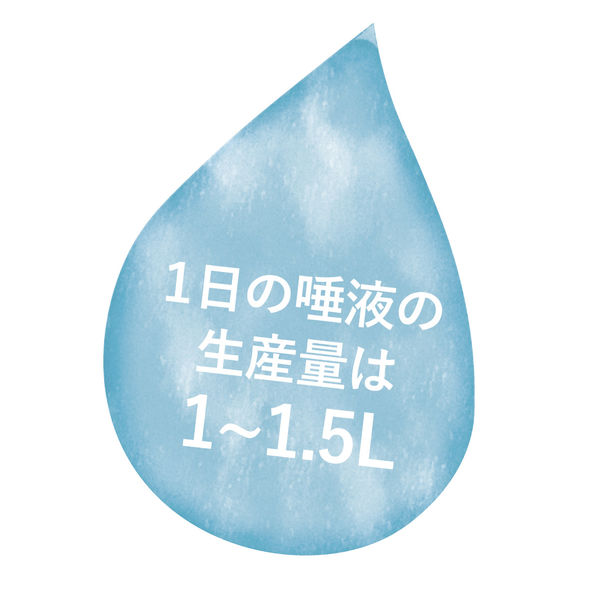 唾液が悪玉菌から守ってくれている！知っていましたか？１日の唾液量は１．５リットル