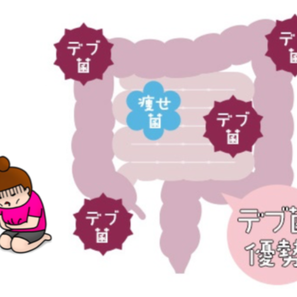 緑麦芽（りょくばくが）からとれる有胞子乳酸菌。ダイエットにオススメです